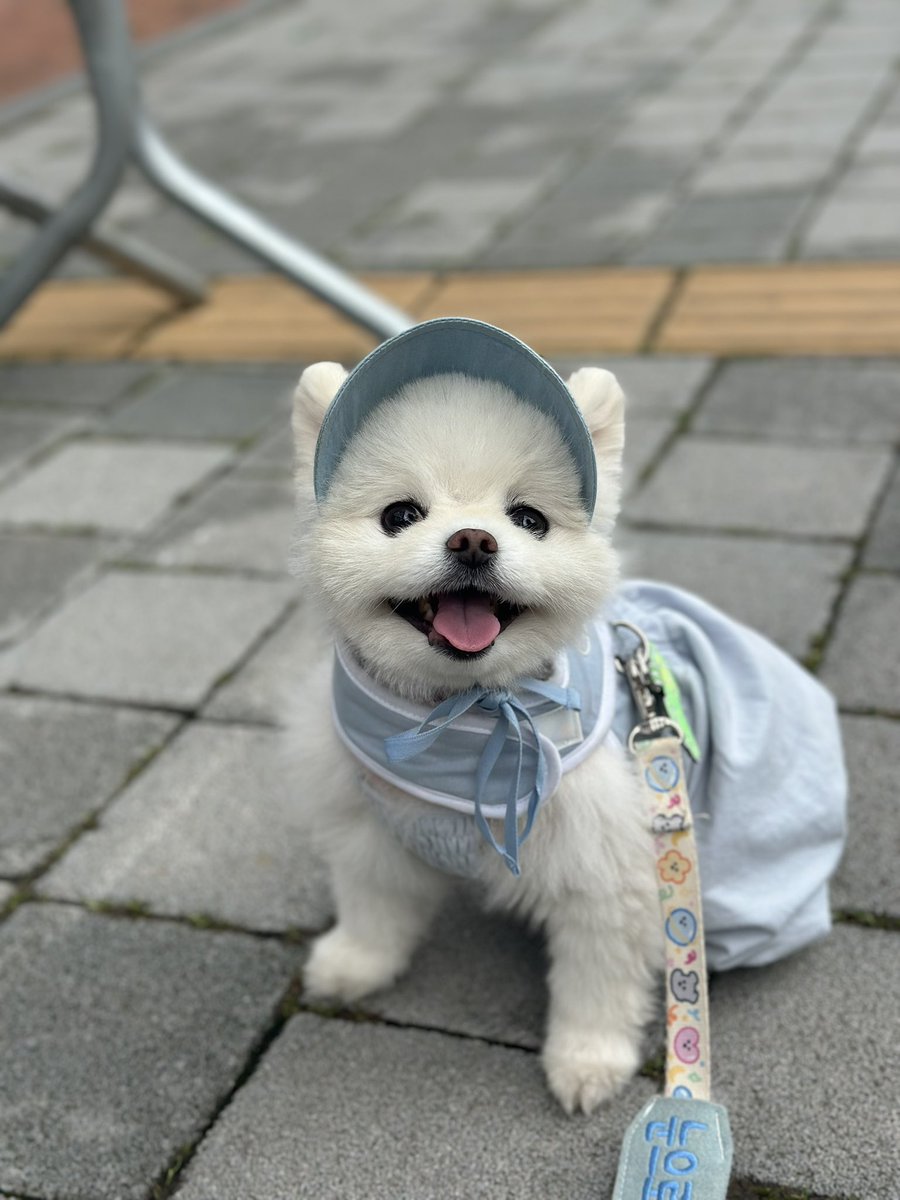 Algamja__wak's tweet photo. 올공 출발 전 / 도착 / 포토존 40분 대기 후 https://t.co/DaHj7sIIRd