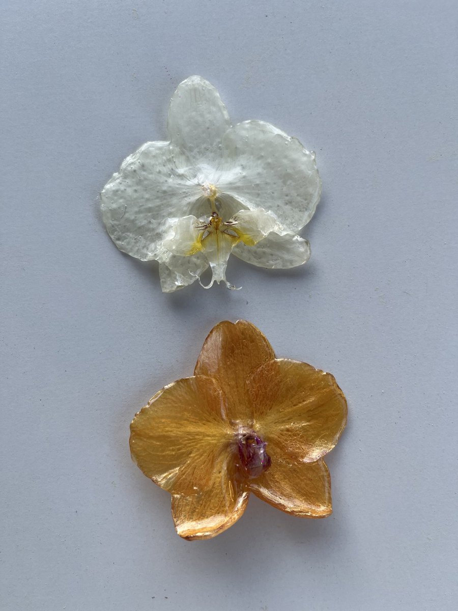 Yoli 💌🌷 tweet media