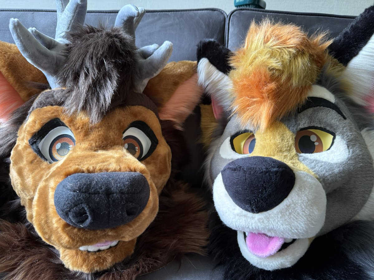 Lars/Koofe (@greyice_bear) on Twitter photo Koofe just met his older brother Lars 😊
Lars by <a href="/Evi1Makers/">EvilMakers🏳️⚧️Commissions CLOSED</a>
Koofe by <a href="/CritterWorkshop/">Critter Workshop</a> Koofe just met his older brother Lars 😊
Lars by <a href="/Evi1Makers/">EvilMakers🏳️⚧️Commissions CLOSED</a>
Koofe by <a href="/CritterWorkshop/">Critter Workshop</a>