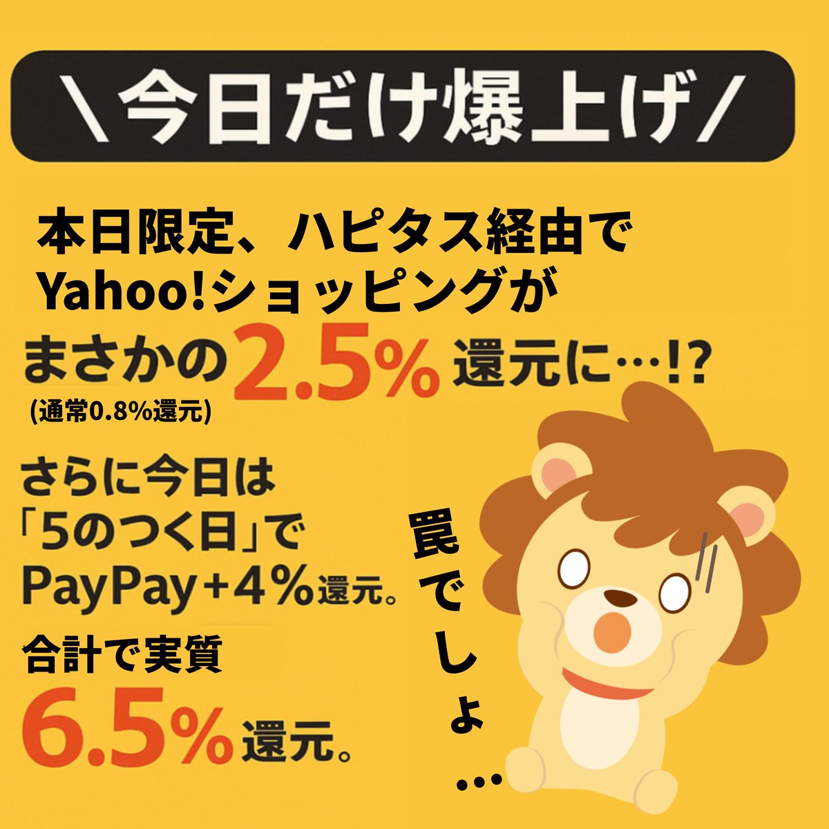 今日だけ爆上げ／ 本日限定、ハピタス経由でYahoo!ショッピングが まさかの2.5%還元に…！？（※通常0.8%）  さらに今日は「5のつく日」でPayPay＋4%還元。 合計で実質6.5%還元。 こんな高い還元あるわけがない。 これはきっと、何かの罠。 でも踏む↓  https://t.co ...