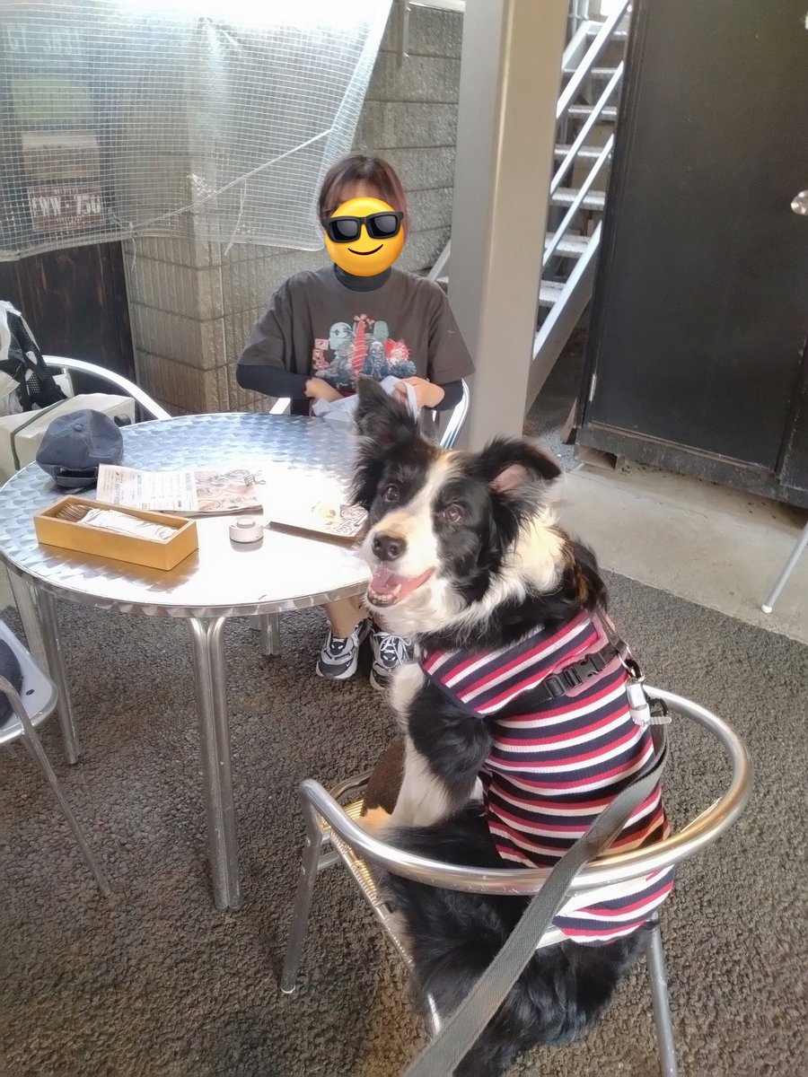 BorderCollieFeb's tweet photo. とっても可愛がってくれた友人♡
最高のお天気だったしご満悦なふぇぶさん https://t.co/3kWJIigs33
