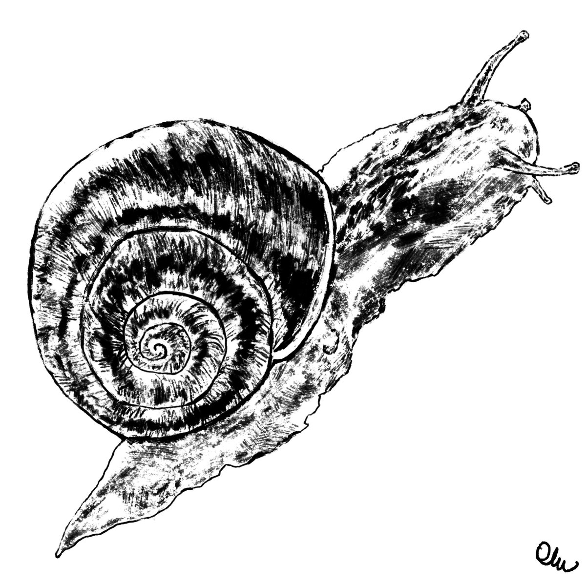 🐌🐌🐌🐌🐌🐌