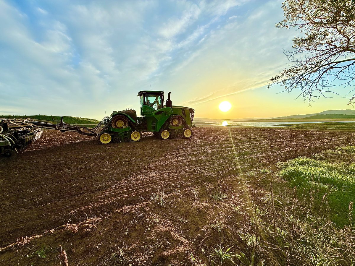 I don’t think that I’m crazy
Yeah but how would I know?
When the voices remind me
That it’s all just for show