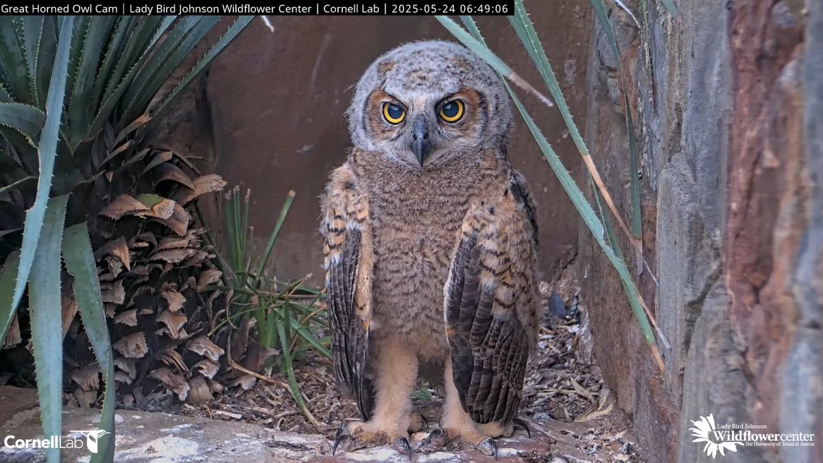06:49, 5/24   When is your big day going to happen?!
