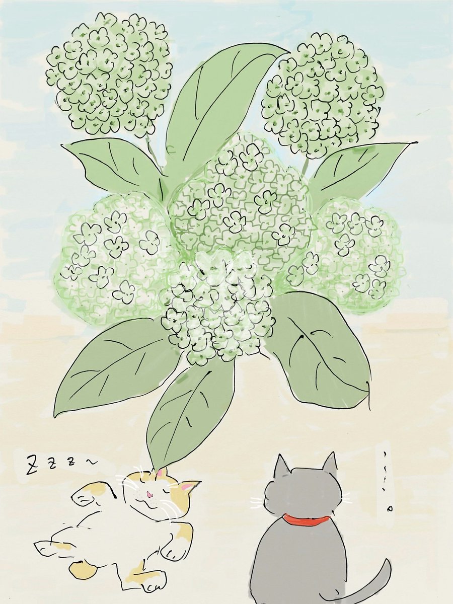 Still_walk_on's tweet photo. 先輩:なあ、あれがお母さんが育ててる紫陽花のアナベルって花だニャ。とっても綺麗…ん？
後輩:そう、で、、Zzzzz〜〜💤
先輩:……(あかんわ、コイツ。。)

#1コマ #イラスト #紫陽花 #アナベル #猫 #後輩 #すぐ #寝る #先輩 #あきらめ #猫好きさんと繋がりたい #イラスト好きな人と繋がりたい https://t.co/HGkwgDnfuz