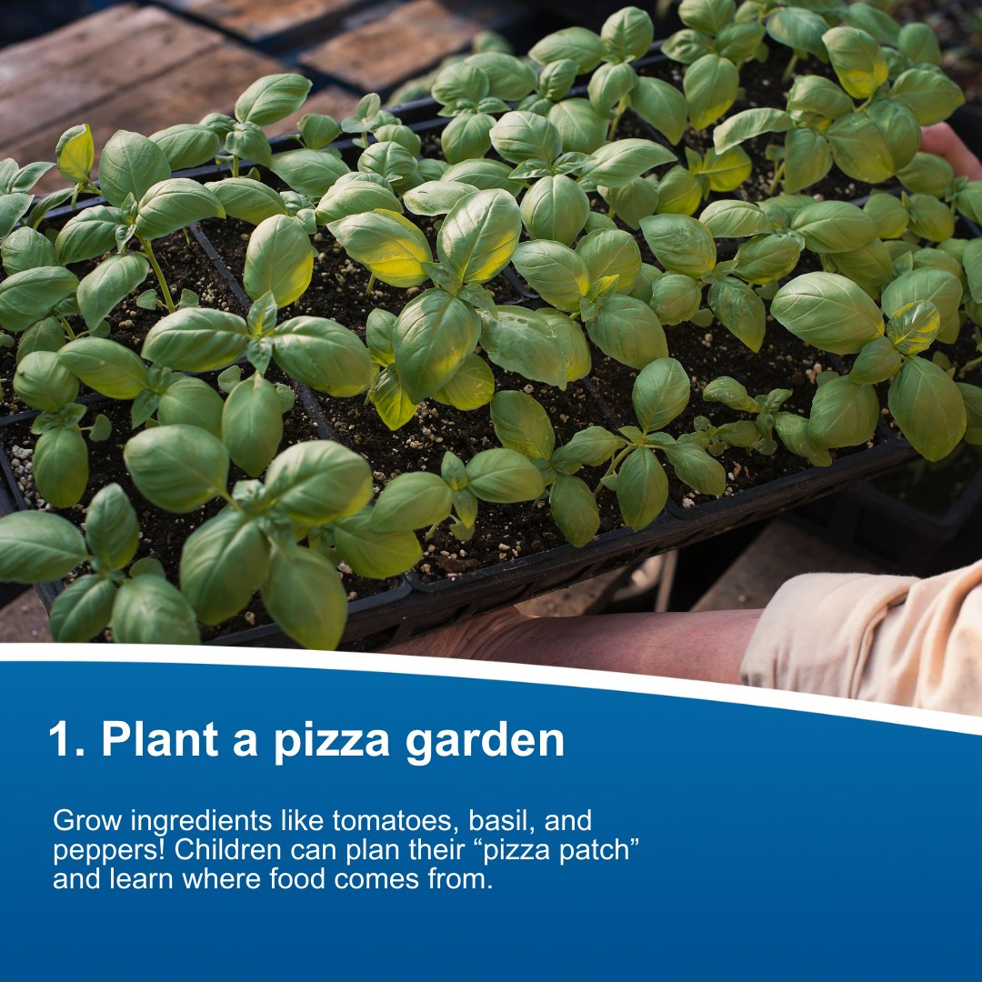 TeacherActive tweet media