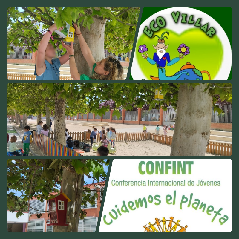 ColeNSVillar's tweet photo. Actividades #CONFINT 💚
Comederos para aves 🦜🐦en el patio de #EducaciónInfantil

#CONFINTValladolid #SelloAmbientalJCyL #SelloAmbientalCyL #CONFINTCyL https://t.co/UDi08OAbWp