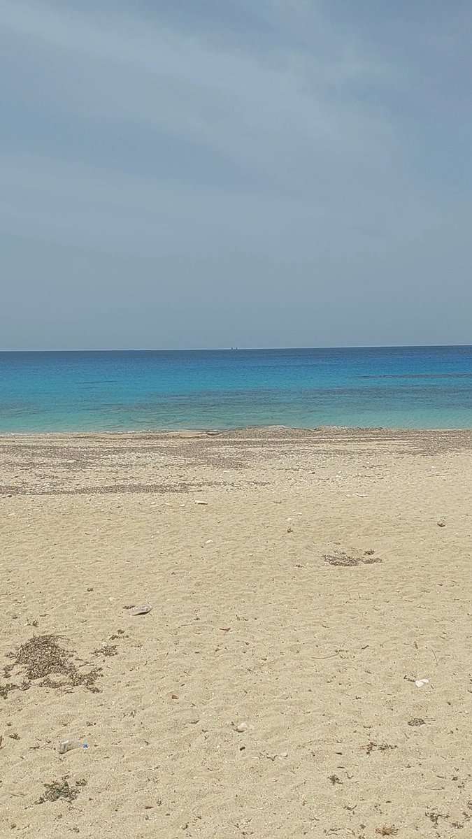 Filonoe's tweet image. Μαδαγασκάρη 2025