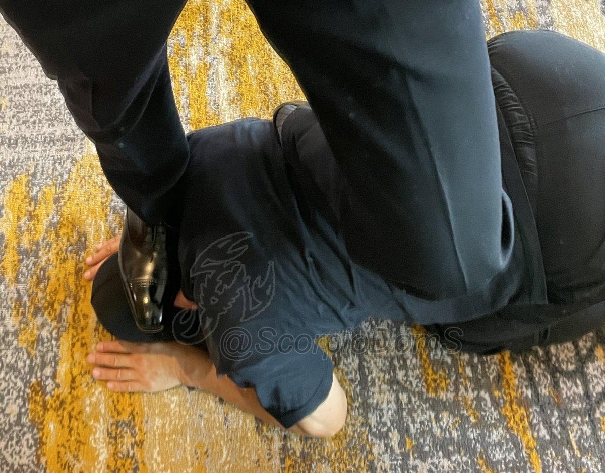 ScorpioDomS tweet media