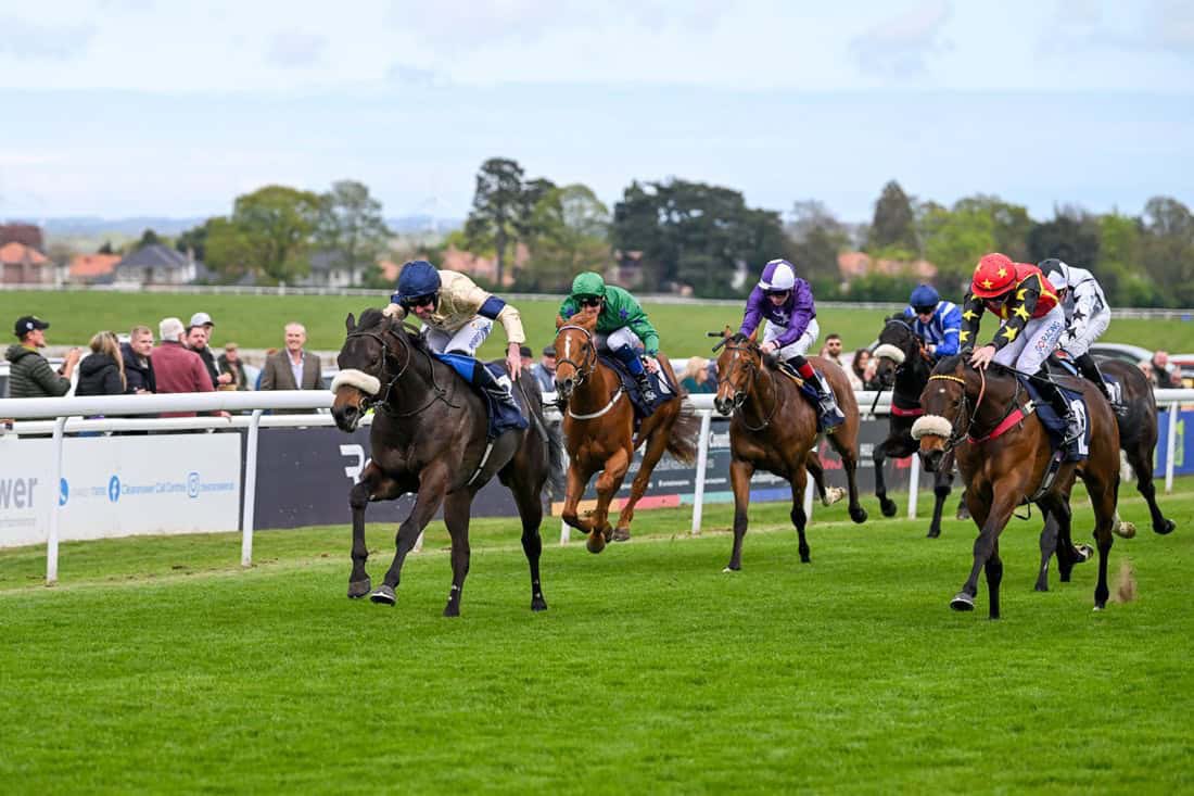 Hambleton Racing (@hambletonracing) on Twitter photo Debut winner TROPICAL DREAMER returns to <a href="/Beverley_Races/">Beverley Racecourse</a> today for his second start🌴
He’s one of four runners for us today and we wish all runners and their connections the best of luck for today’s races!
<a href="/kevinryanracing/">Kevin Ryan Racing</a> Debut winner TROPICAL DREAMER returns to <a href="/Beverley_Races/">Beverley Racecourse</a> today for his second start🌴
He’s one of four runners for us today and we wish all runners and their connections the best of luck for today’s races!
<a href="/kevinryanracing/">Kevin Ryan Racing</a>