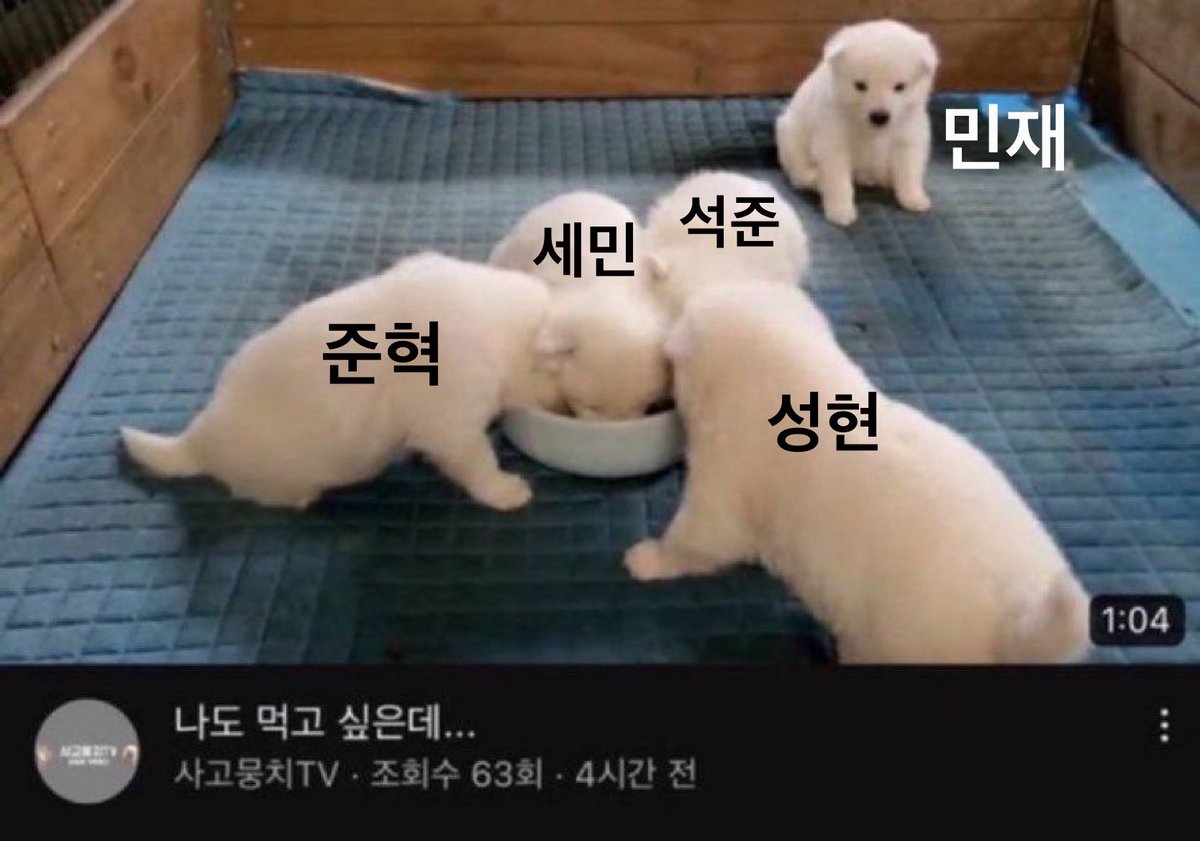 사고뭉치TV 계정주: 장용훈