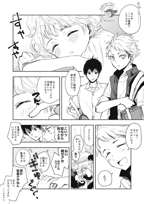 ミハルくんがまだ来て間もない頃の一コマ

時々うっかりミスで吸っちゃってるのがめっちゃ可愛い。 