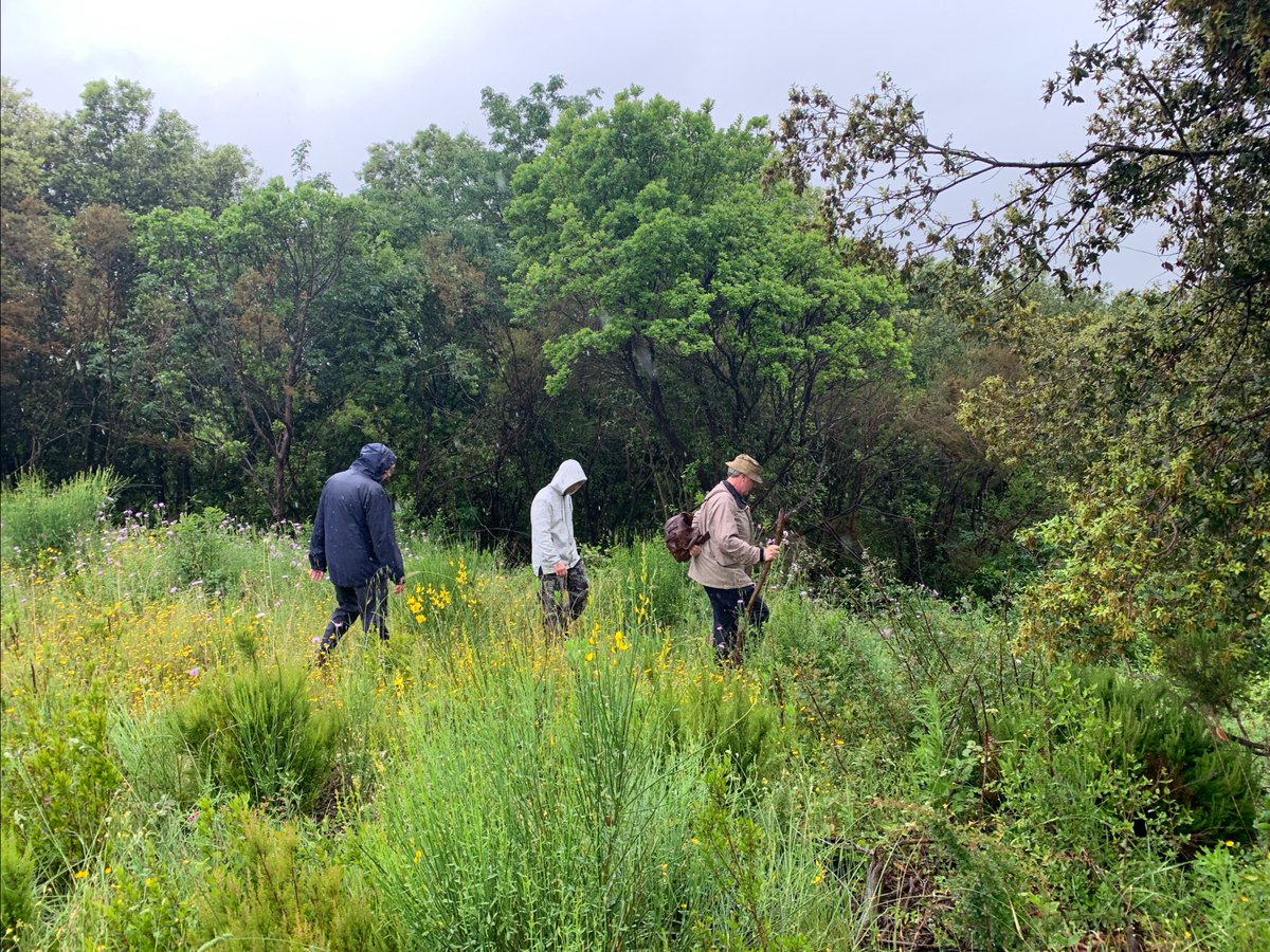 CultExp's tweet image. Go beyond ordinary tourism. Explore the pivotal WWII battles of Crete, Anzio, and the Gothic Line with expert historians. - mailchi.mp/theculturalexp…