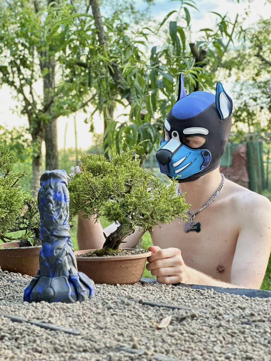 Thor, the bonsai master — and not just that 😏
Use code “THOR” for 10% off 🐾
.
.
<a href="/SwisokOfficial/">SWISOK Official</a>