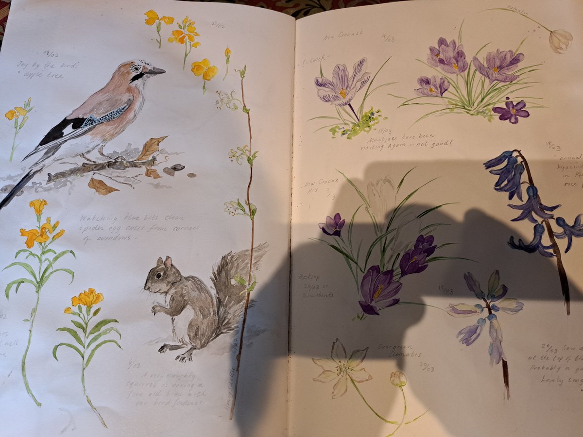 David Oliver tweet media