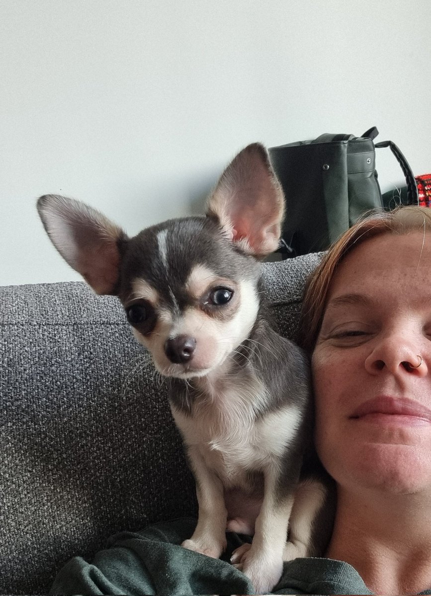 hanny 🐴🍝 tweet media