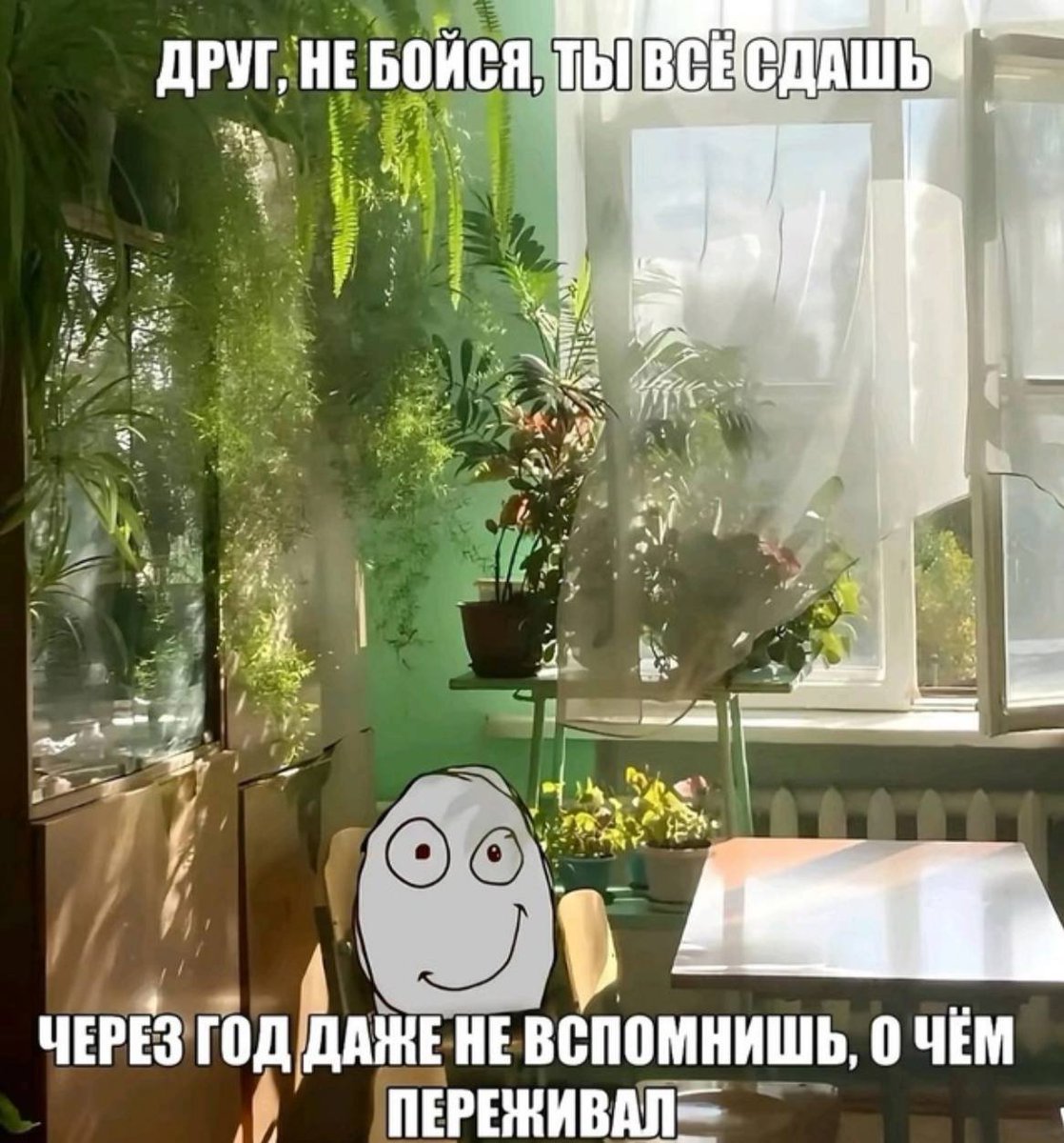 Лень придумывать нормальное имя (@boringsquid) on Twitter photo 