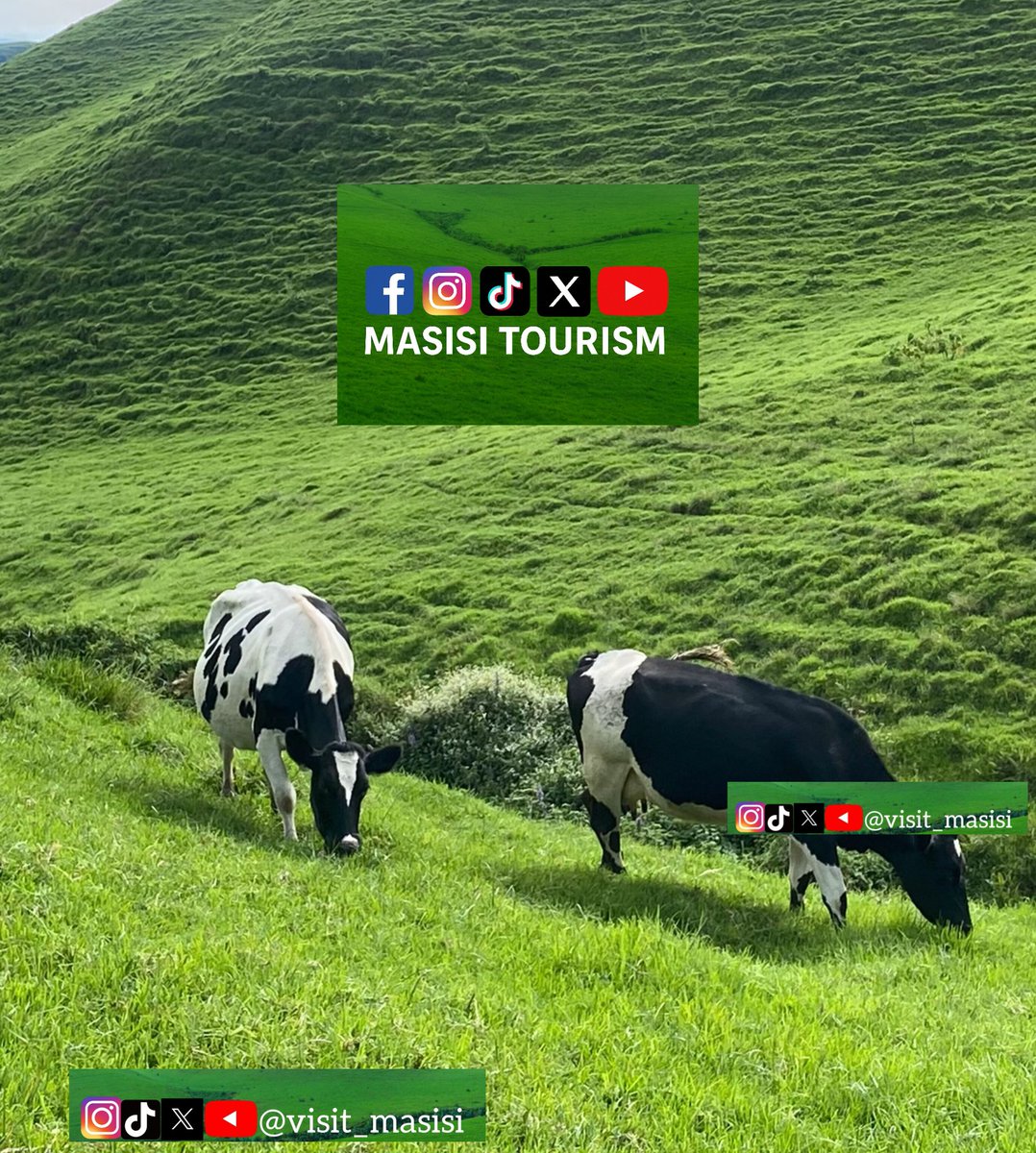 visit_masisi's tweet image. ❤️Ubusabe❤️ njyewe #MASISITOURISM nandikiye @ScoviaMutesi ibaruwa ifunguye musaba kuzaza mukiganiro cye nkunda cyitwa #kukarubanda nkuko nanjye mbimusabiye kukarubanda murakoze @Mamaurwagasabo1