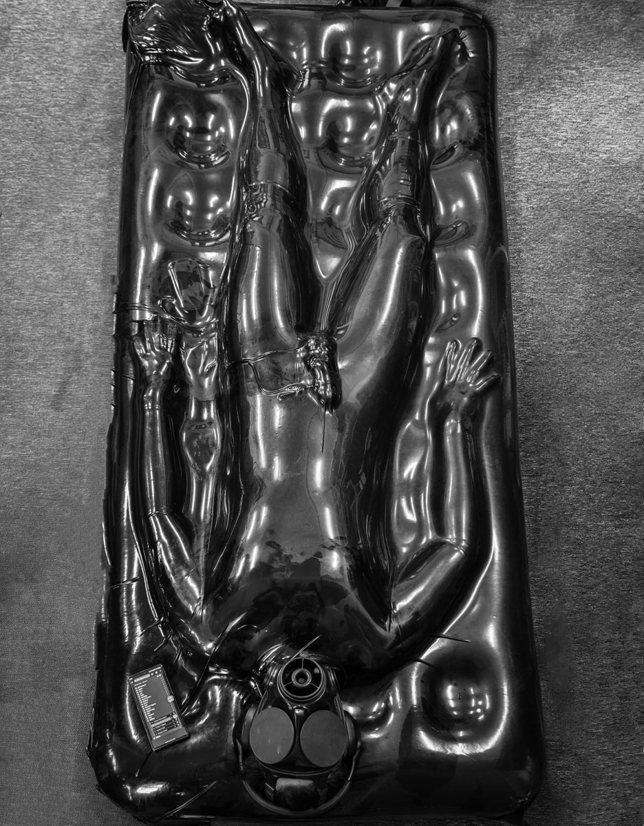 WebDudeWeb tweet media