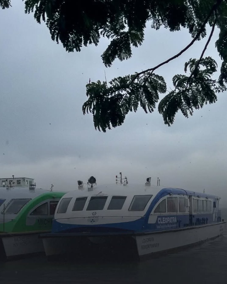 Monsoon arrives early in Kerala.