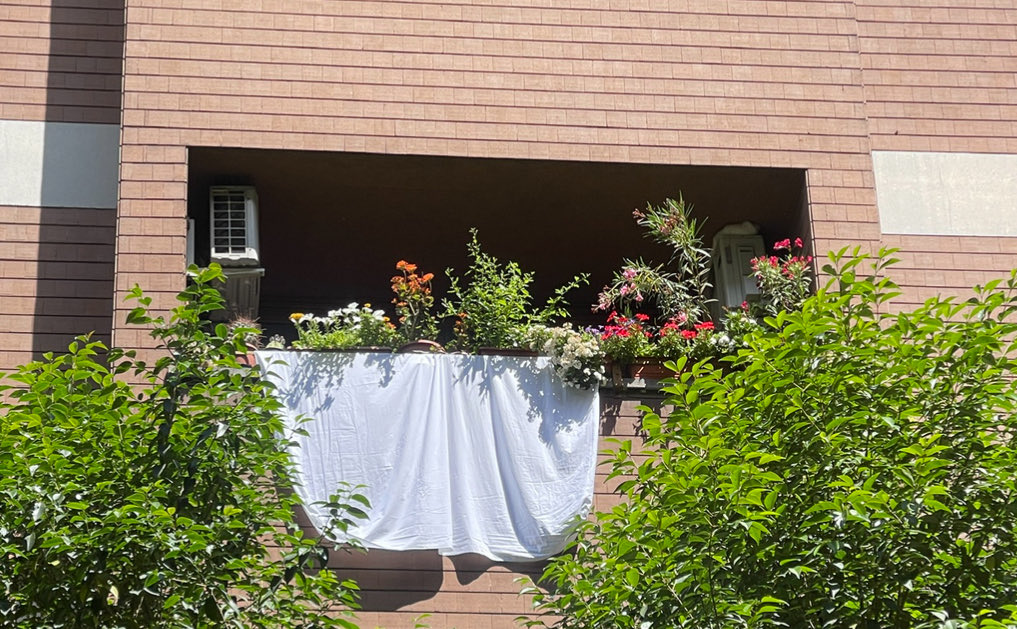 Maria Pia Guermandi (@mpguermandi) on Twitter photo 