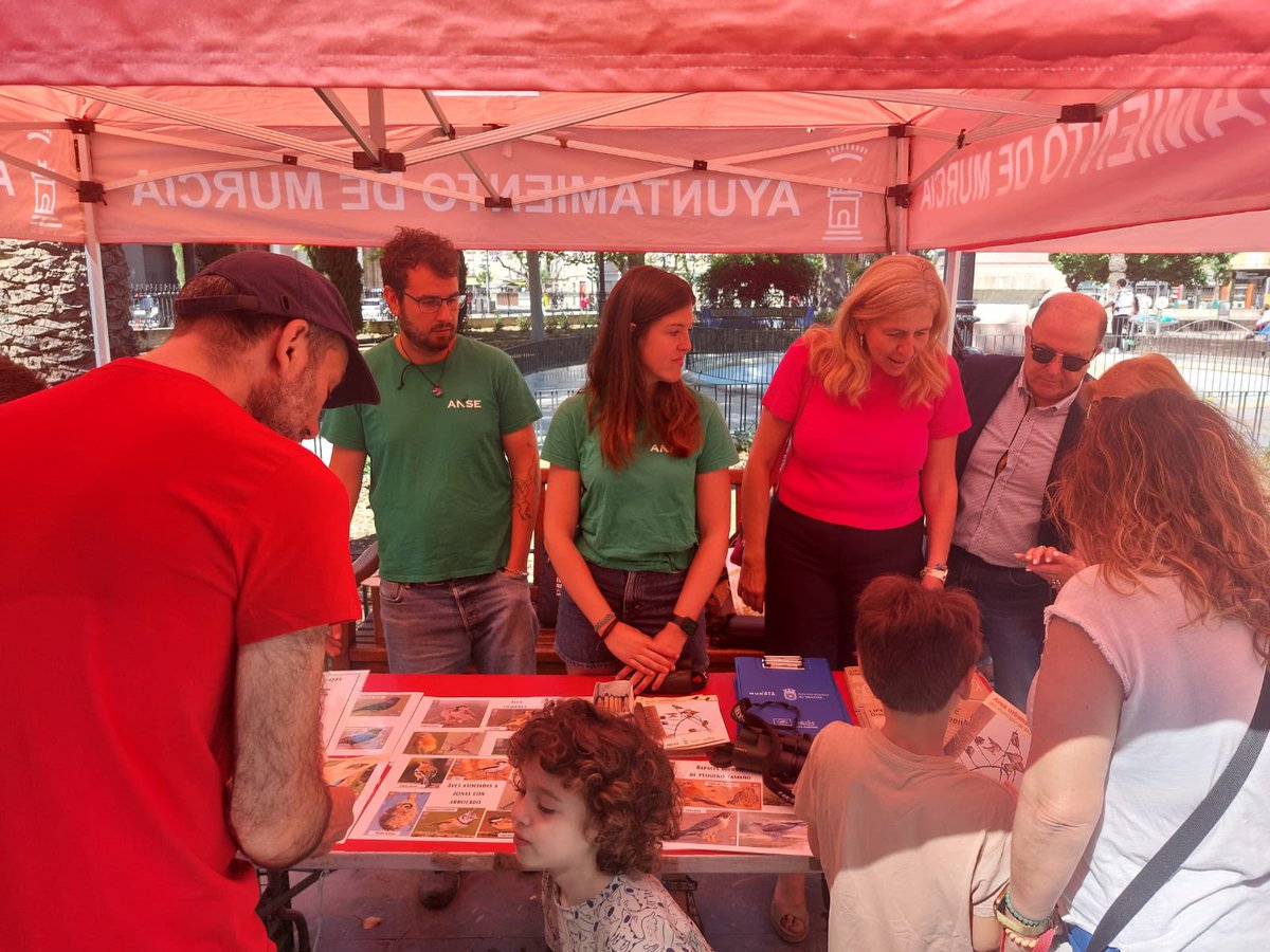 junta_elcarmen's tweet image. Esta mañana el @AytoMurcia ha realizado un taller de avistamiento de aves urbanas en el Barrio de El Carmen en colaboración con #ANSE dentro del proyecto #LIFEGreenMe5.
@ConexionSurMur 
#Seguimos