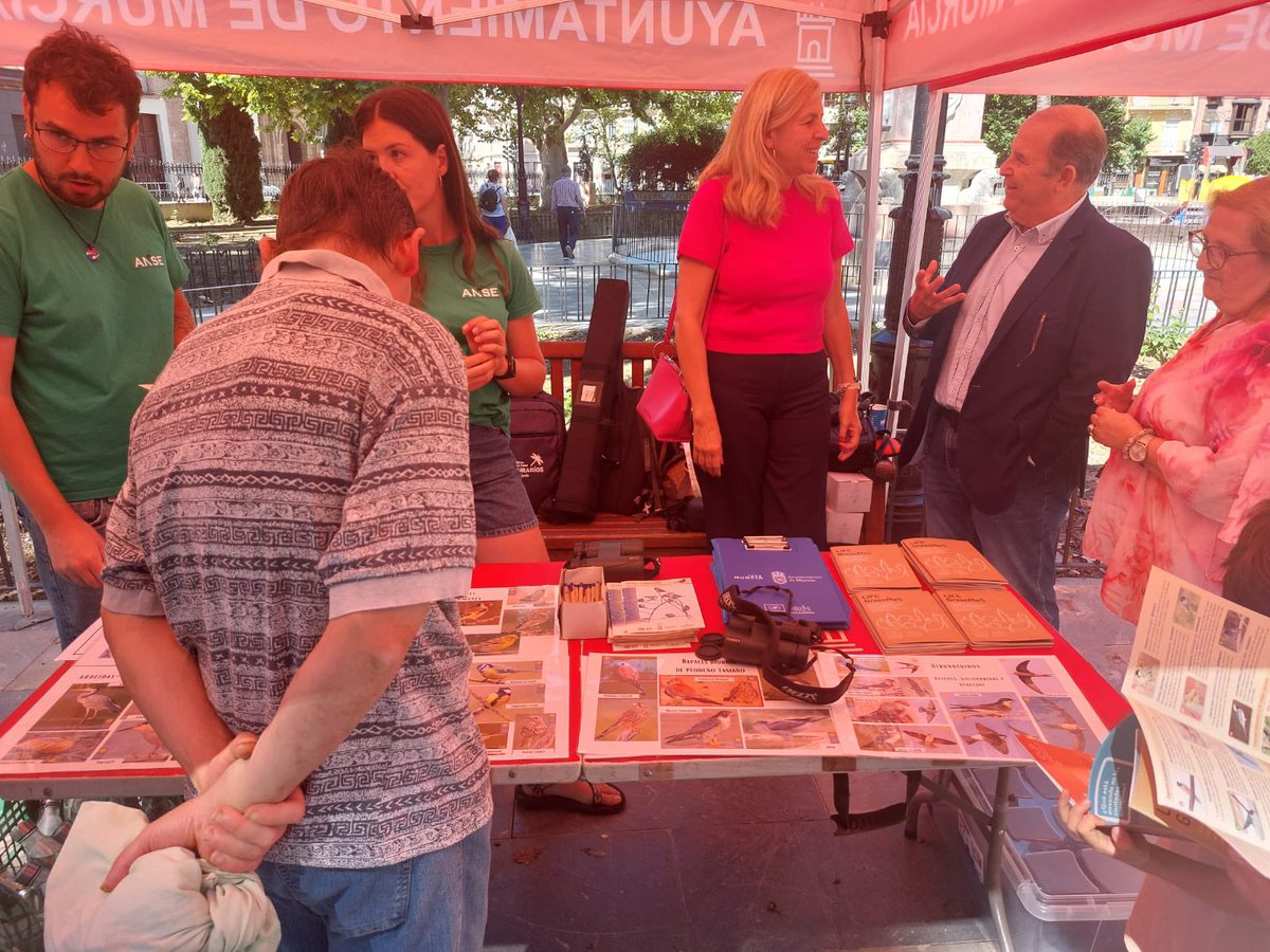 junta_elcarmen's tweet image. Esta mañana el @AytoMurcia ha realizado un taller de avistamiento de aves urbanas en el Barrio de El Carmen en colaboración con #ANSE dentro del proyecto #LIFEGreenMe5.
@ConexionSurMur 
#Seguimos