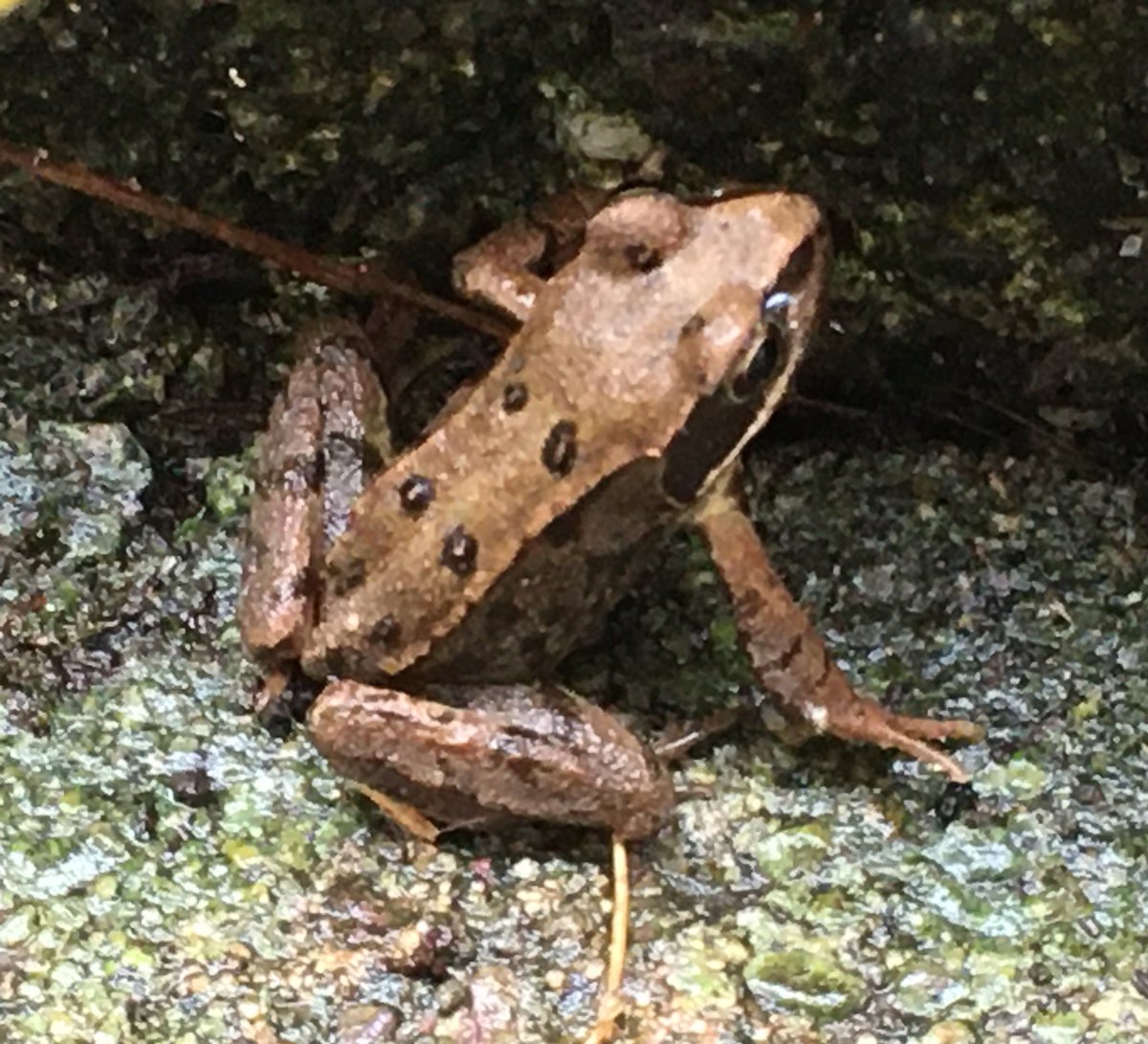 First rain for a month and we get visitors