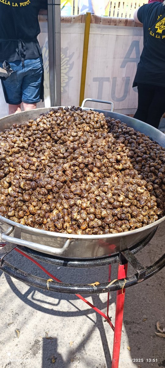 <a href="/AplecCaragol/">Aplec Caragol Lleida</a> .
Primera etapa superada, avui pinta bé!!
<a href="/CollaLaPuput/">Colla La Puput</a> . 🙄🫣🥁🥁🐌🐌🐌