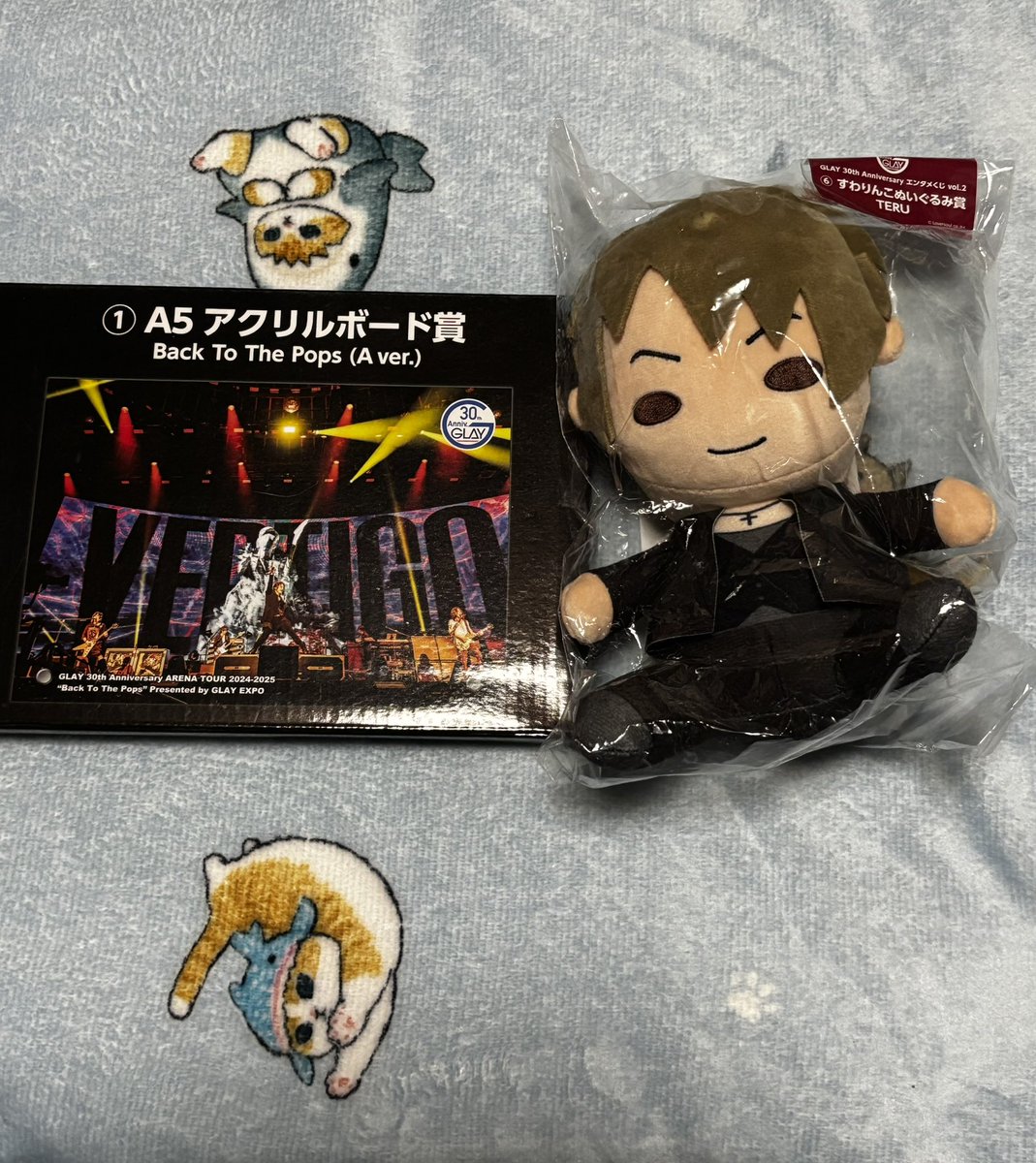 glayエンタメくじ⑧すわりんこぬいぐるみhisashi