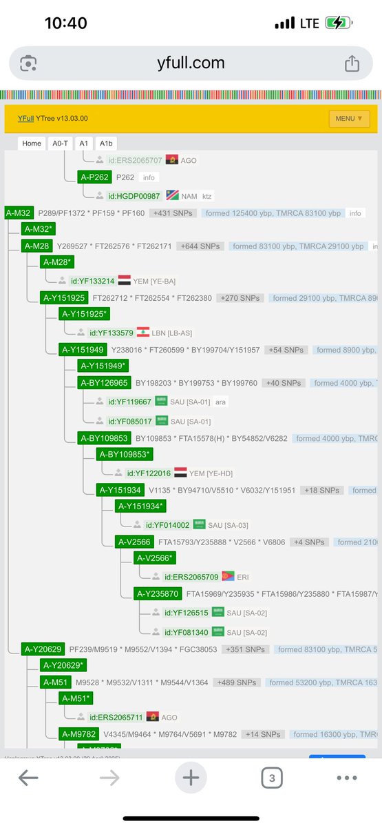 Arabicscientist's tweet photo. 🅰️🅰️أول من سكن الجزيرة العربية🅰️🅰️

السلالة A هي اقدم من استوطن حزيرة العرب بعمر يقاوب ١٢٠ ألف س، وبعدها بـ ١٠٥ ألف سنة انضم لهم ابناء عمهم  E-m35.

هناك أُسر ضاربة جذورها في الجزيرة من ١٠٠ الف سنه، انعزال مهيب ومرعب ويقزم جميع التحورات الأخرى.

ومن الأغلاط الشائعة في الساحة الجينية اعتبار هذه السلالة أفريقية، فهي منتشرة في الجزيرة اكثر من انتشارها في افريقيا أو أي مكان آخر، و أغلب مشاهيرها على FTD هم أوروبيين.