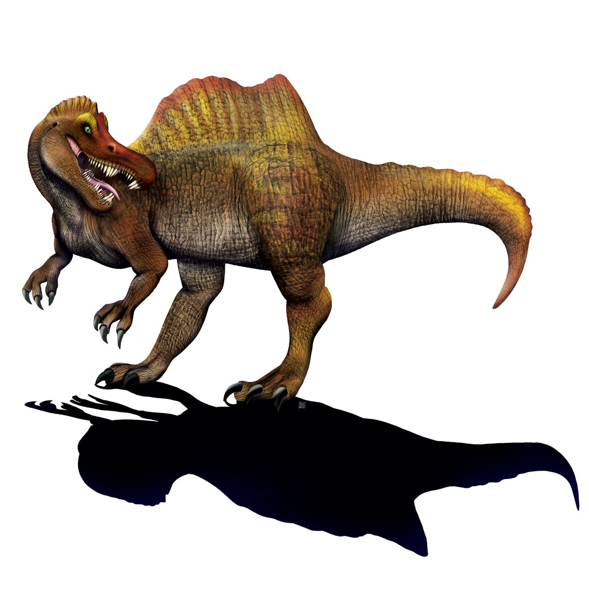 JeffPWest's tweet photo. #spinosaurus  aegyptiacus. I experimented with a digital collage effect using @AaronBlaiseArt  elephant hide texture brushes. 
#paleoart #dinosaurart #digitalart #digitalillustration #brightonart #brightonartist #brightonillustrator https://t.co/KtHZAnGgwX