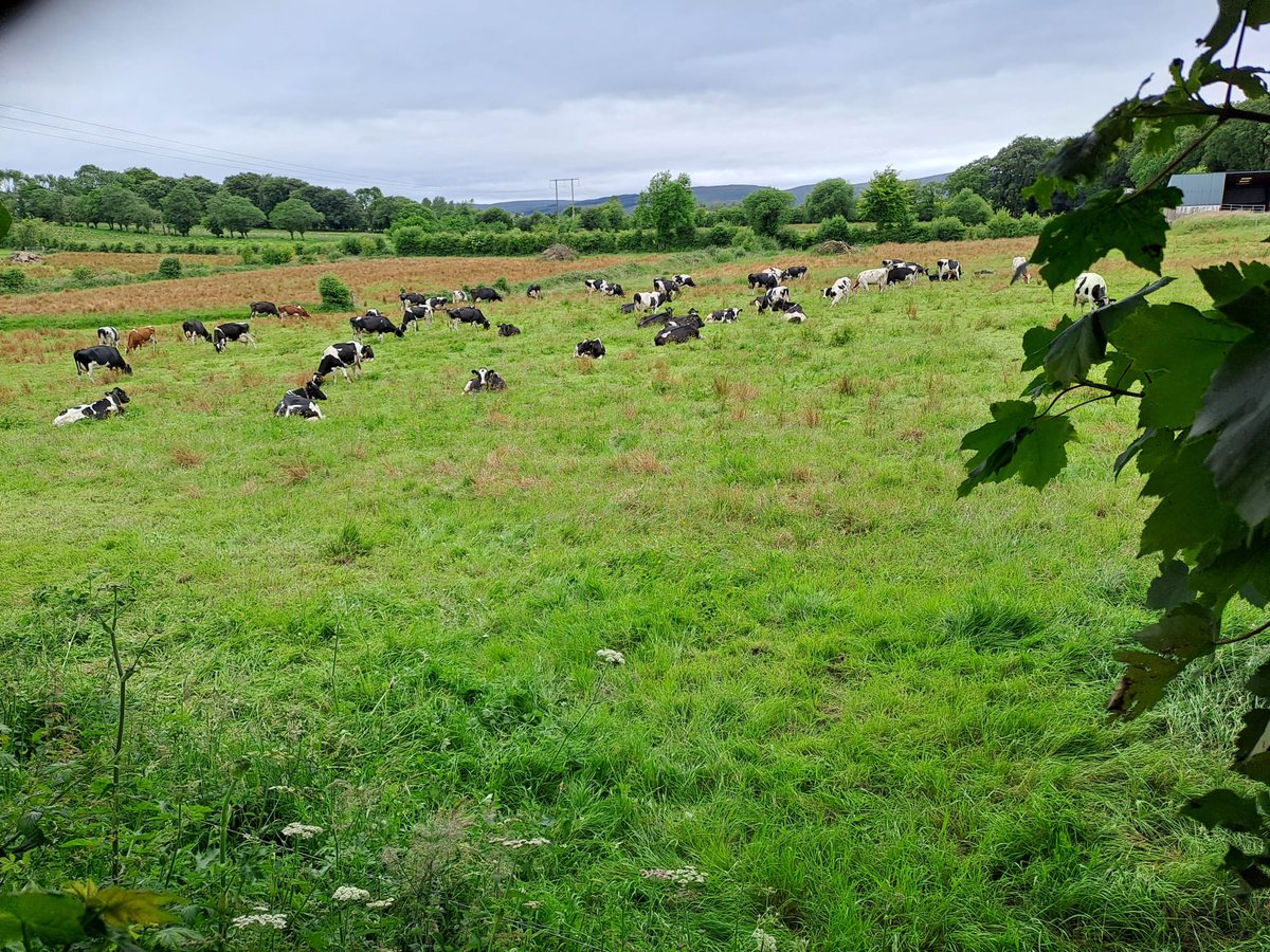 Fergal Monaghan tweet media