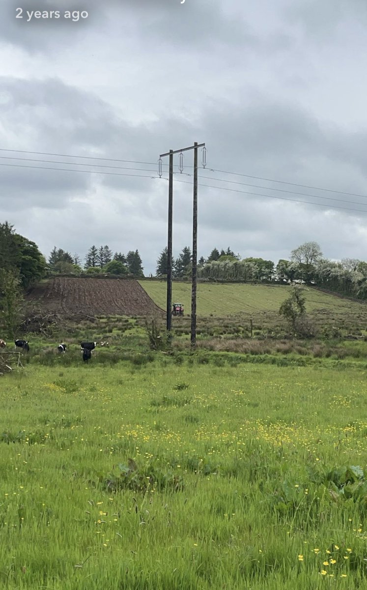 Fergal Monaghan tweet media