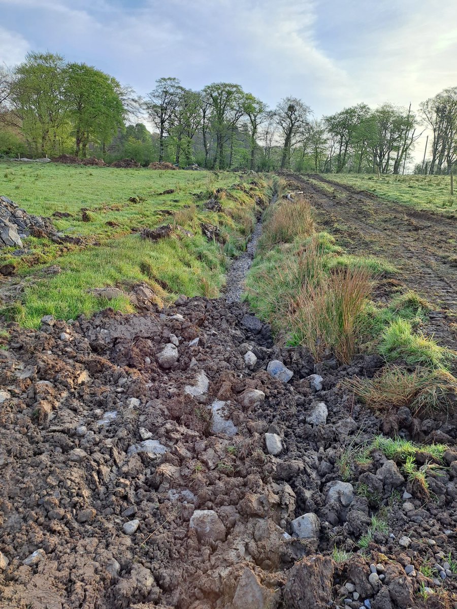 Fergal Monaghan tweet media