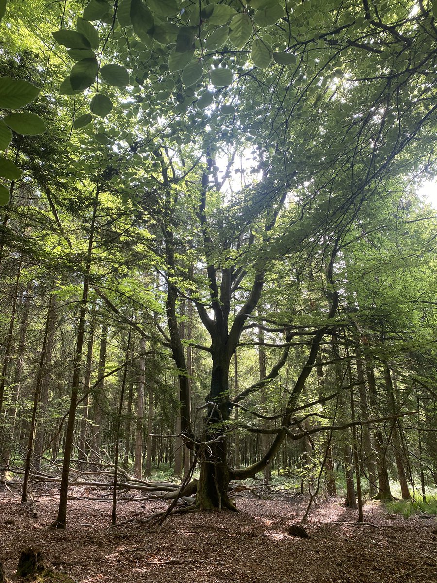 Rencontres insolites au cours de la fête de la nature et de la biodiversité.