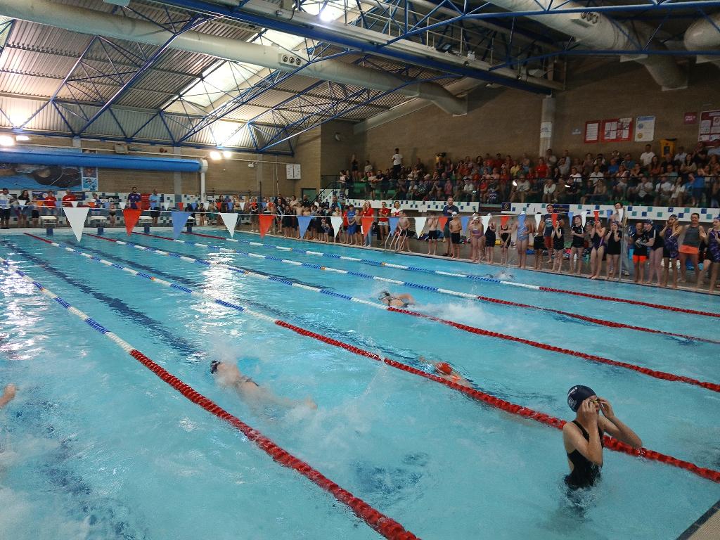 BSGSwim's tweet photo. Great final galas to round off our primary swim league. ~180 children in 11 teams took part. Well done to all who swum for their schools and did so well.  
Clifton Clg: winners, B final 🏆
Bishop Rd A: 3rd in A final🥉
WoT A: 2nd in A final🥈
Elmlea Jnrs: winners, A final🥇🏆 https://t.co/mq3mJ66KuJ