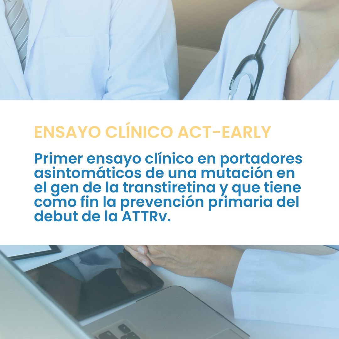 📢¡Empieza ACT-EARLY! 

🔬Un #ensayoclínico con acoramidis que busca retrasar o evitar el debut de la #amiloidosis por TTR variante en personas portadoras asintomáticas.

🌐Más info: investor.bridgebio.com/news/news-deta…