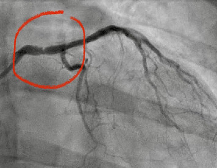 Alex Truesdell tweet media