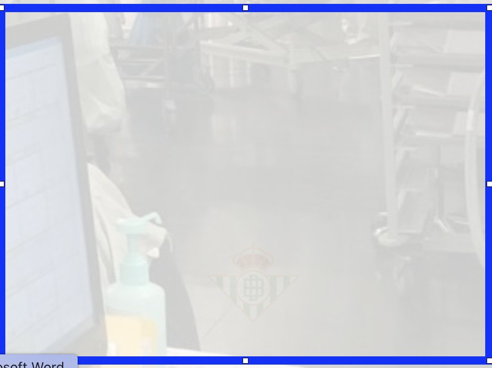 Tomas Villen (@tomasvillen) on Twitter photo Ya puedo contarlo. La presentación más importante de mi vida, la tesis doctoral, llevaba un Easter egg 💚🤍 homenaje al partido más importante de la historia reciente de mi <a href="/RealBetis/">Real Betis Balompié 🌴💚</a> . Espero que corramos el próximo miércoles la misma suerte que yo este lunes Ya puedo contarlo. La presentación más importante de mi vida, la tesis doctoral, llevaba un Easter egg 💚🤍 homenaje al partido más importante de la historia reciente de mi <a href="/RealBetis/">Real Betis Balompié 🌴💚</a> . Espero que corramos el próximo miércoles la misma suerte que yo este lunes