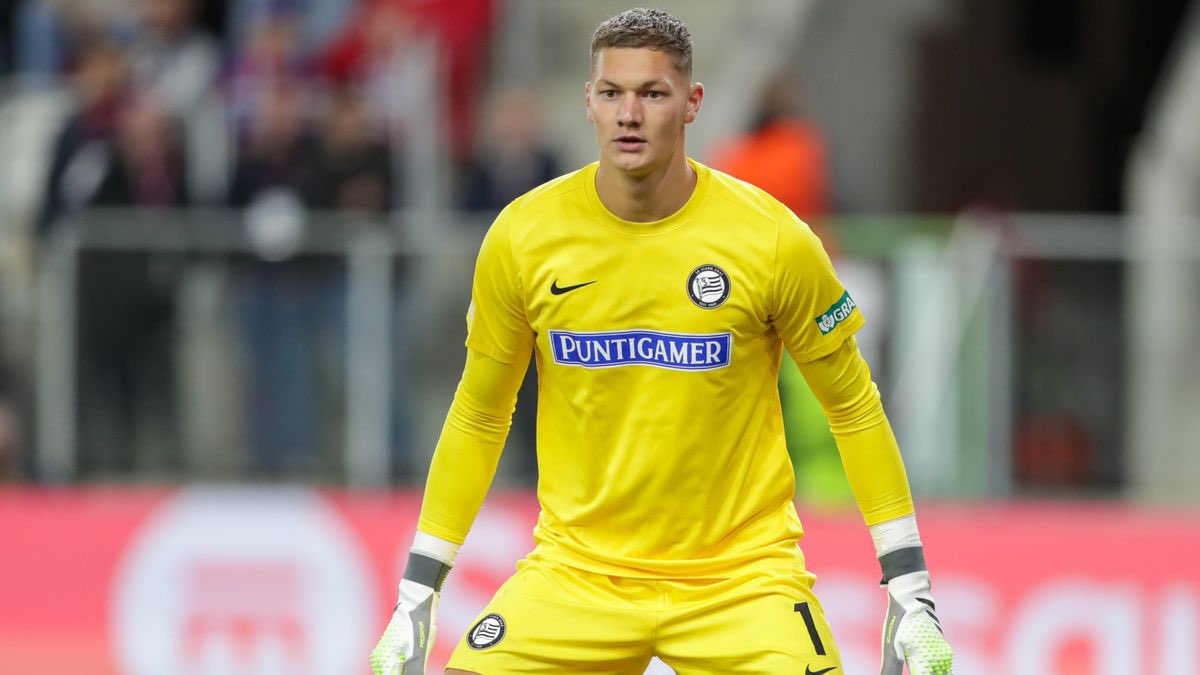 Niels Dijkhuizen tweet media