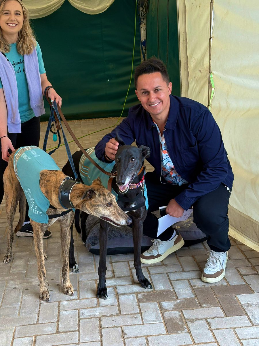 racingblogger's tweet image. Just arrived at Towcester Racecourse for the Greyhound Derby round 3 heats with a greeting from these beauties. 

Looking forward to a brilliant night! 😍 🐕