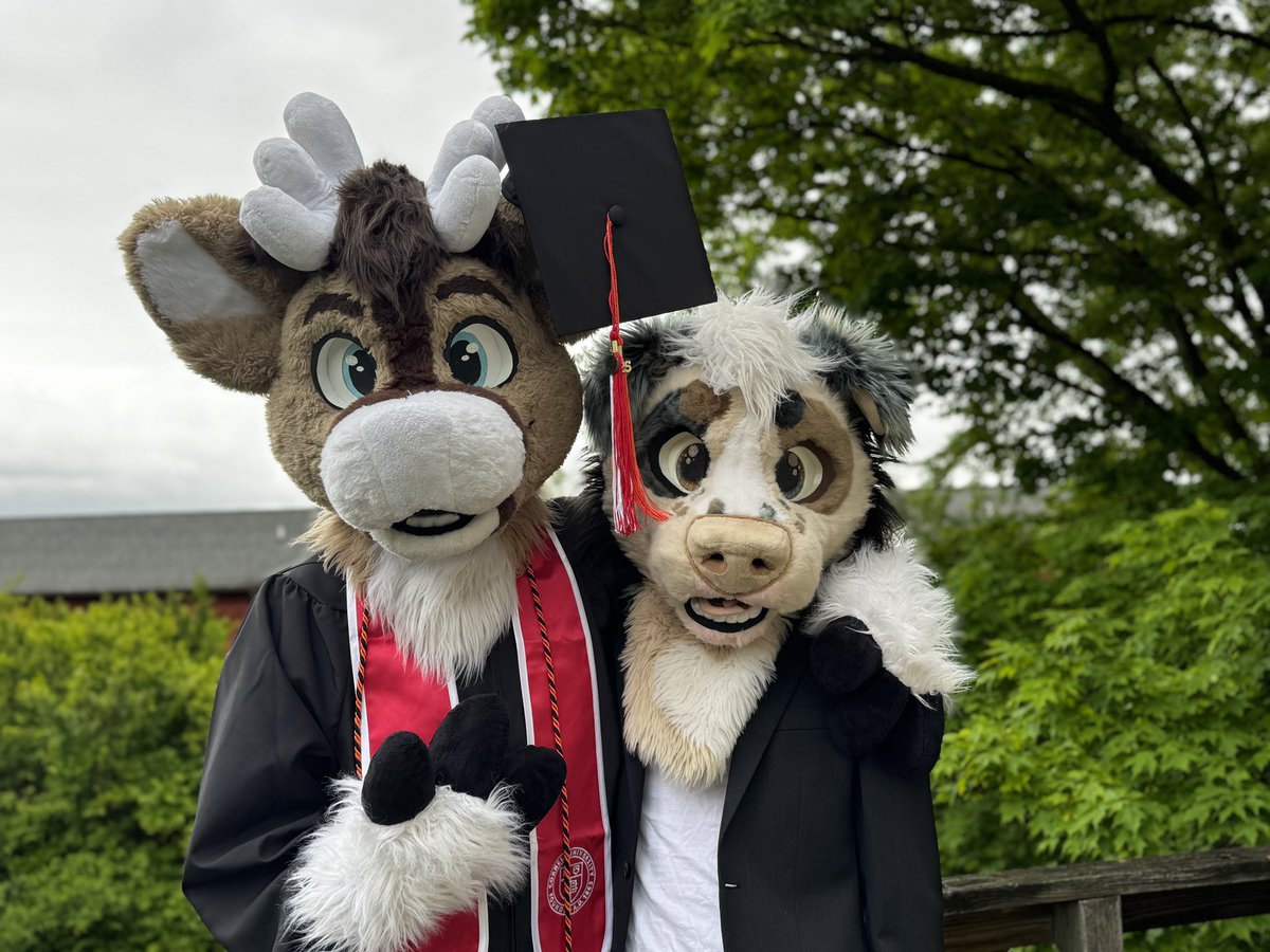 Can y’all believe <a href="/Cornell/">Cornell University</a> is giving a deer a Master’s Degree? 🦌🎓