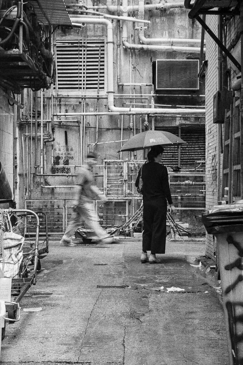 Peron (@syrojaziran) on Twitter photo 