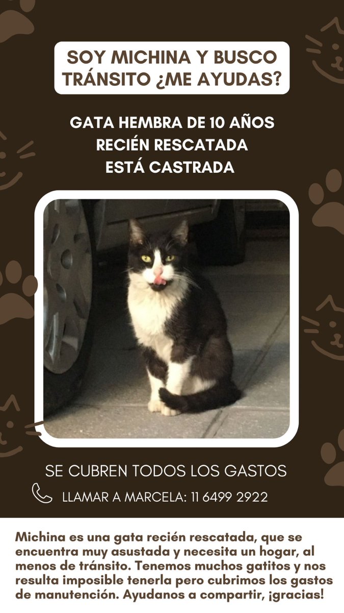 MarceFusco's tweet photo. Por favor, difundir. Zona Flores. Gracias! https://t.co/pGMM5hWHT6