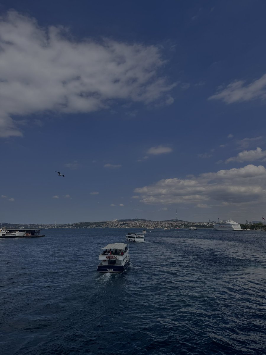 DilanYa0's tweet photo. Me, You &amp; İstanbul 🖤 https://t.co/Tpk5ohNJw0