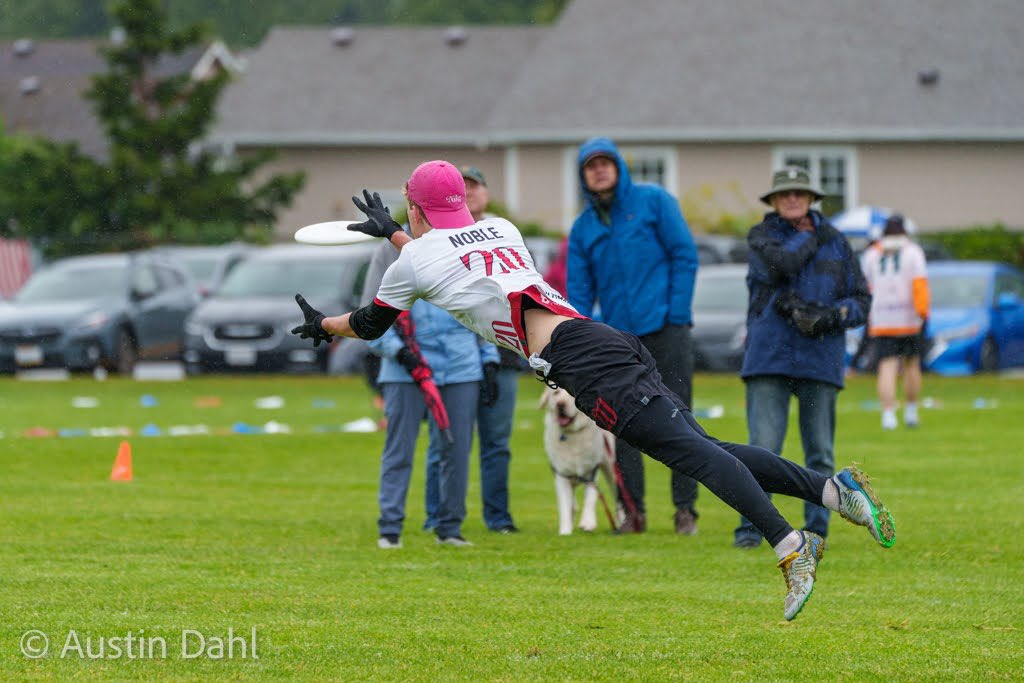 Austin Dahl tweet media