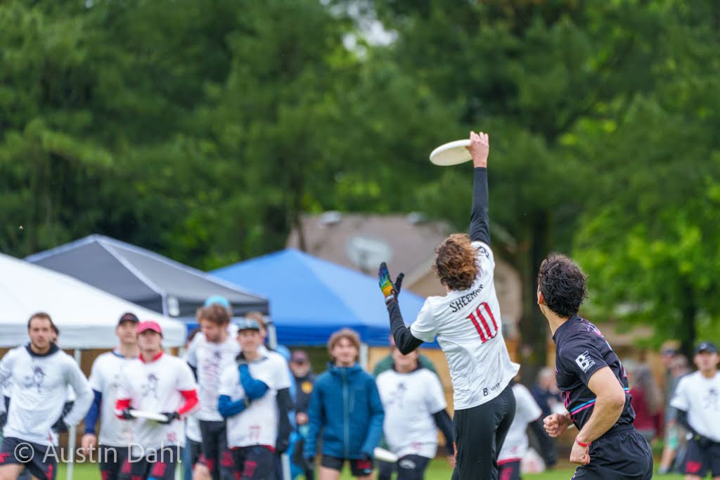 Austin Dahl tweet media