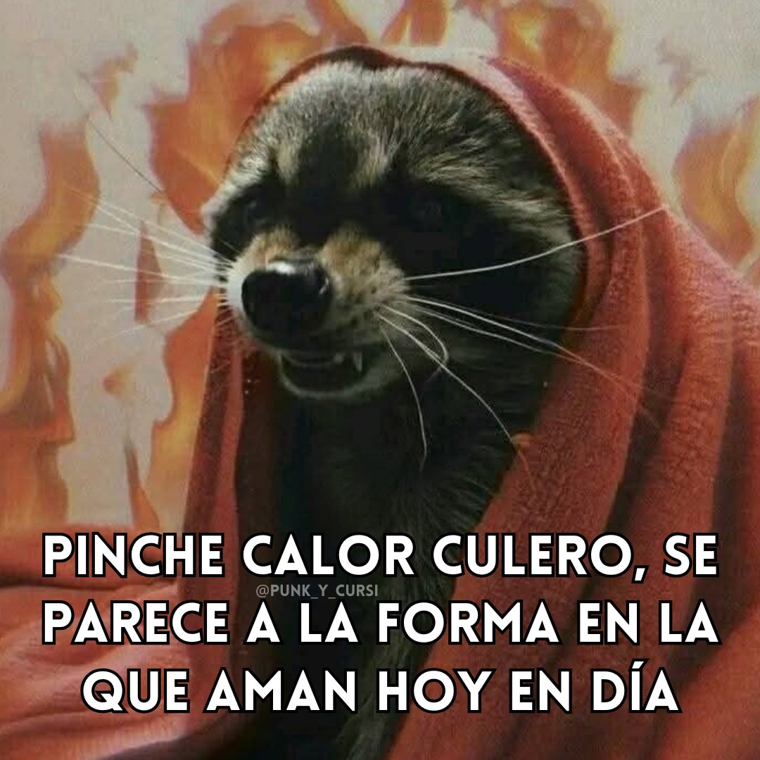 🔥🔥🔥🔥