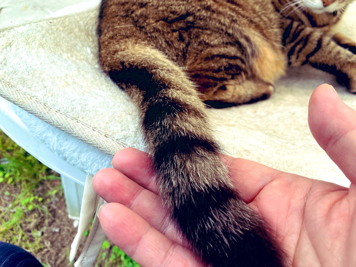 kaz6thlife's tweet image. 🌃✨①

I was watching #TVProgram about &apos;#SoloCamp&quot; by Japanese comedian Hiroshi.🏕️✨🔥✨I love outdoor life in nature❣️

Good night❣️ Happy weekend for you all❣️🙏

May.25th.Sun.00:39&apos;25.